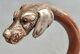 19° Canne Pommeau Tête Chien En Partie Argent Massif- Solid Silver Dog Head Cane