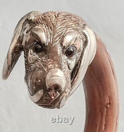 19° Canne pommeau tête chien en partie argent massif- Solid silver dog head cane