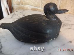 Ancien Appelant/Appeau canard bois chasse, Objet Art-Populaire