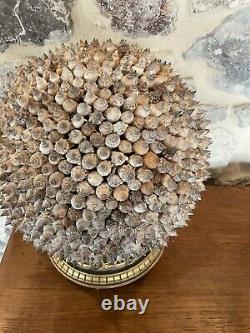 Ancienne Grande Boule De Coquillages Sur Socle Bois Doré Décoration Maison 27 Cm
