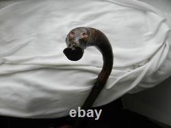 Ancienne canne zoomorphe art populaire tête de cochon