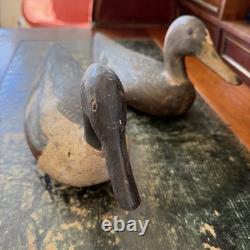 Anciens leurres canards appelants de chasse en bois sculpté peint art populaire