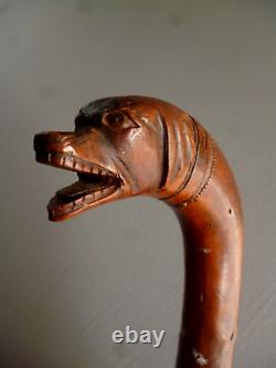 Art populaire Canne ancienne en bois sculpté monoxyle Walking stick tête chien