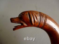 Art populaire Canne ancienne en bois sculpté monoxyle Walking stick tête chien