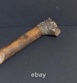 Baton sculpté tête de chien outil ancien sculpture bois & sulfure animal XIXème