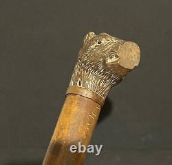 Baton sculpté tête de chien outil ancien sculpture bois & sulfure animal XIXème