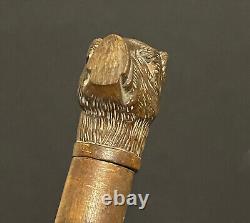 Baton sculpté tête de chien outil ancien sculpture bois & sulfure animal XIXème