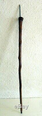 CANNE A SYSTÈME EPOQUE 19ème FAIT DANS UNE RACINE DE BOIS