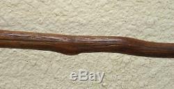 CANNE A SYSTÈME EPOQUE 19ème FAIT DANS UNE RACINE DE BOIS