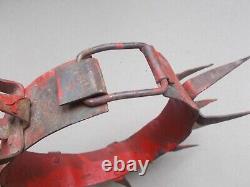 Cabinet de Curiosité Collier de défense pour Chien Anti Loup, Fer Forgé