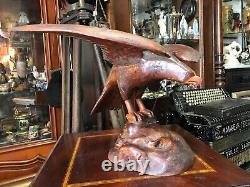 Cabinet de curiosité Trophée de Chasse en Bois Sculptée Art Populaire Buse