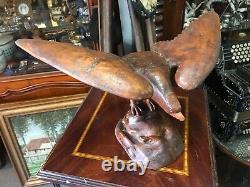 Cabinet de curiosité Trophée de Chasse en Bois Sculptée Art Populaire Buse