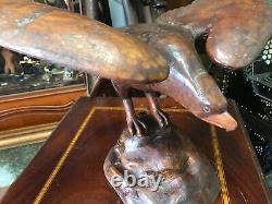 Cabinet de curiosité Trophée de Chasse en Bois Sculptée Art Populaire Buse