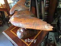 Cabinet de curiosité Trophée de Chasse en Bois Sculptée Art Populaire Buse