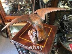 Cabinet de curiosité Trophée de Chasse en Bois Sculptée Art Populaire Buse