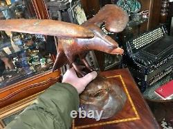 Cabinet de curiosité Trophée de Chasse en Bois Sculptée Art Populaire Buse