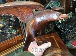 Cabinet de curiosité Trophée de Chasse en Bois Sculptée Art Populaire Buse