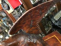 Cabinet de curiosité Trophée de Chasse en Bois Sculptée Art Populaire Buse