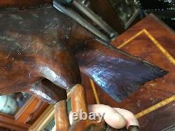 Cabinet de curiosité Trophée de Chasse en Bois Sculptée Art Populaire Buse