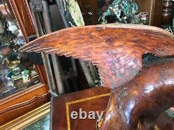 Cabinet de curiosité Trophée de Chasse en Bois Sculptée Art Populaire Buse