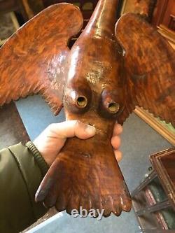 Cabinet de curiosité Trophée de Chasse en Bois Sculptée Art Populaire Buse