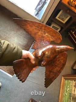 Cabinet de curiosité Trophée de Chasse en Bois Sculptée Art Populaire Buse