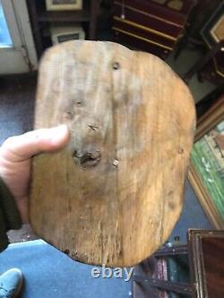 Cabinet de curiosité Trophée de Chasse en Bois Sculptée Art Populaire Buse