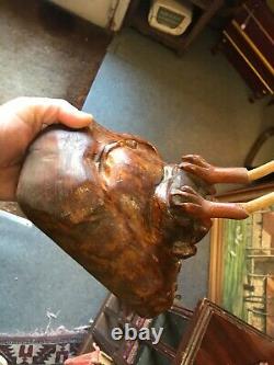 Cabinet de curiosité Trophée de Chasse en Bois Sculptée Art Populaire Buse