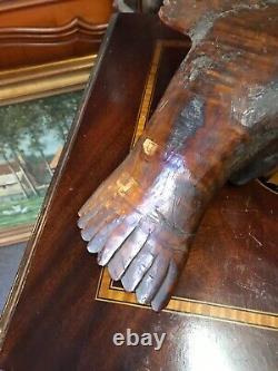 Cabinet de curiosité Trophée de Chasse en Bois Sculptée Art Populaire Buse