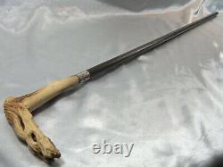 Canne Dandy Pommeau Cervide Sculpte Fut Bois Bague Argent Antique Walking Stick