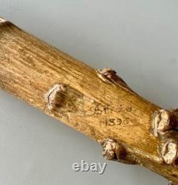 Canne En Tige De Choux Daté 1896