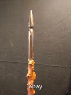 Canne Populaire Monoxyle Chien Ou Loup Grotesque En Buis 19 Eme