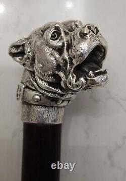 Canne ancienne argent massif pommeau Bulldog Animalier. PROSPER LECOURTIER