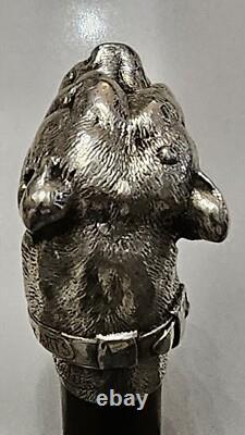 Canne ancienne argent massif pommeau Bulldog Animalier. PROSPER LECOURTIER