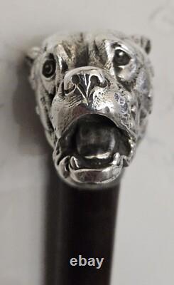 Canne ancienne argent massif pommeau Bulldog Animalier. PROSPER LECOURTIER