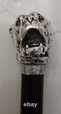 Canne ancienne argent massif pommeau Bulldog Animalier. PROSPER LECOURTIER