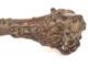 Canne Ancienne Bois Sculpt&eacute; Monoxyle T&ecirc;te Lion Personnage Art Populaire 19&egrave;
