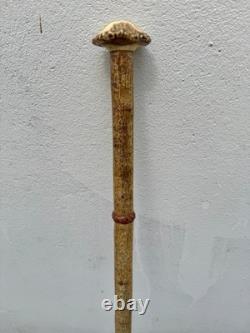 Canne ancienne cane bois cerf