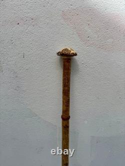 Canne ancienne cane bois cerf