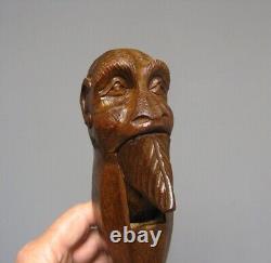 Casse Noisette En Bois Sculpté XIXe. Caricature Tête Se Singe Barbu