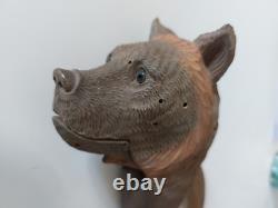 Casse Noisettes Vittel Ours Bois Suisse Forêt Noire XIX ème Yeux Sulfure