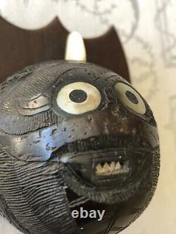 Curiosité Noix de Coco sculptée