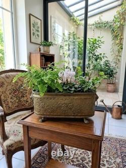 Grande Jardinière Ancienne Laiton Repoussé Style Napoléon III Lions & Griffes