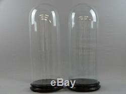 Paire grand globe cabinet de curiosité glass globe curiosity taxidermy 19 thc