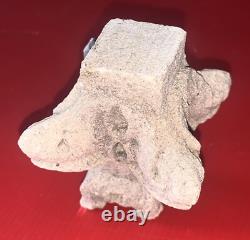 Petit chapiteau néo gothique architecture pierre reconstituée travail compagnon