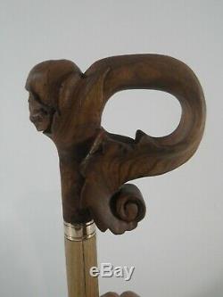 Pommeau de canne en bois d'orme tête de mort marche bâton sculptée en France