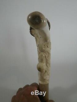 Pommeau de canne en bois de cerf marche bâton abeille sculptée en France