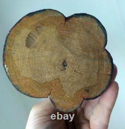 Statuette en bois de pèlerin d'Asie Chine