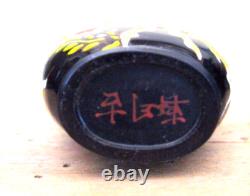 TABATIERE CHINOISE verre émaillé 18 eme DYNASTIE QING SNUFF BOTTLE GOLDFISH