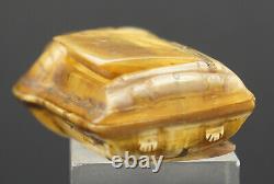 Tabatière 19th corne probablement Inuit ou nord Russie, old tobacco snuff box